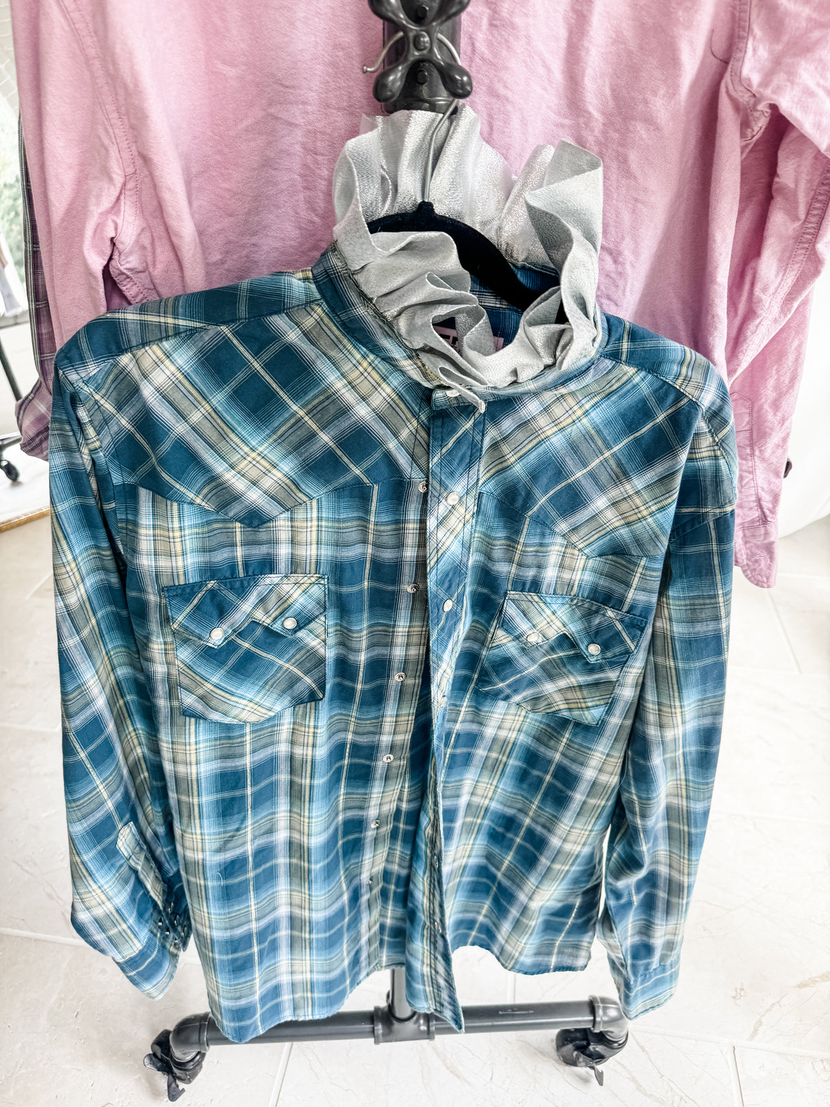 teal plaid + silver collar