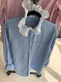 blue striped + blue paid collar